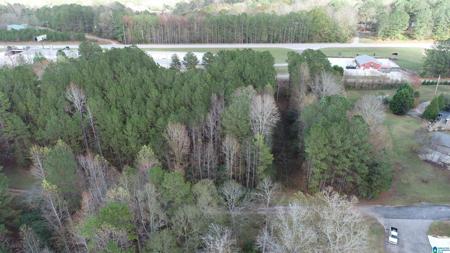 Lot 21,22,25,28,29,30,31,35,36,39 BLUFFS CIRCLE