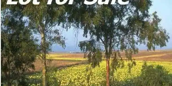 Lot 22 GLENDA DR
