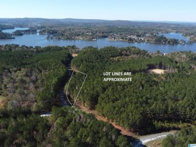 Lot 221 SHORE SIDE LANE