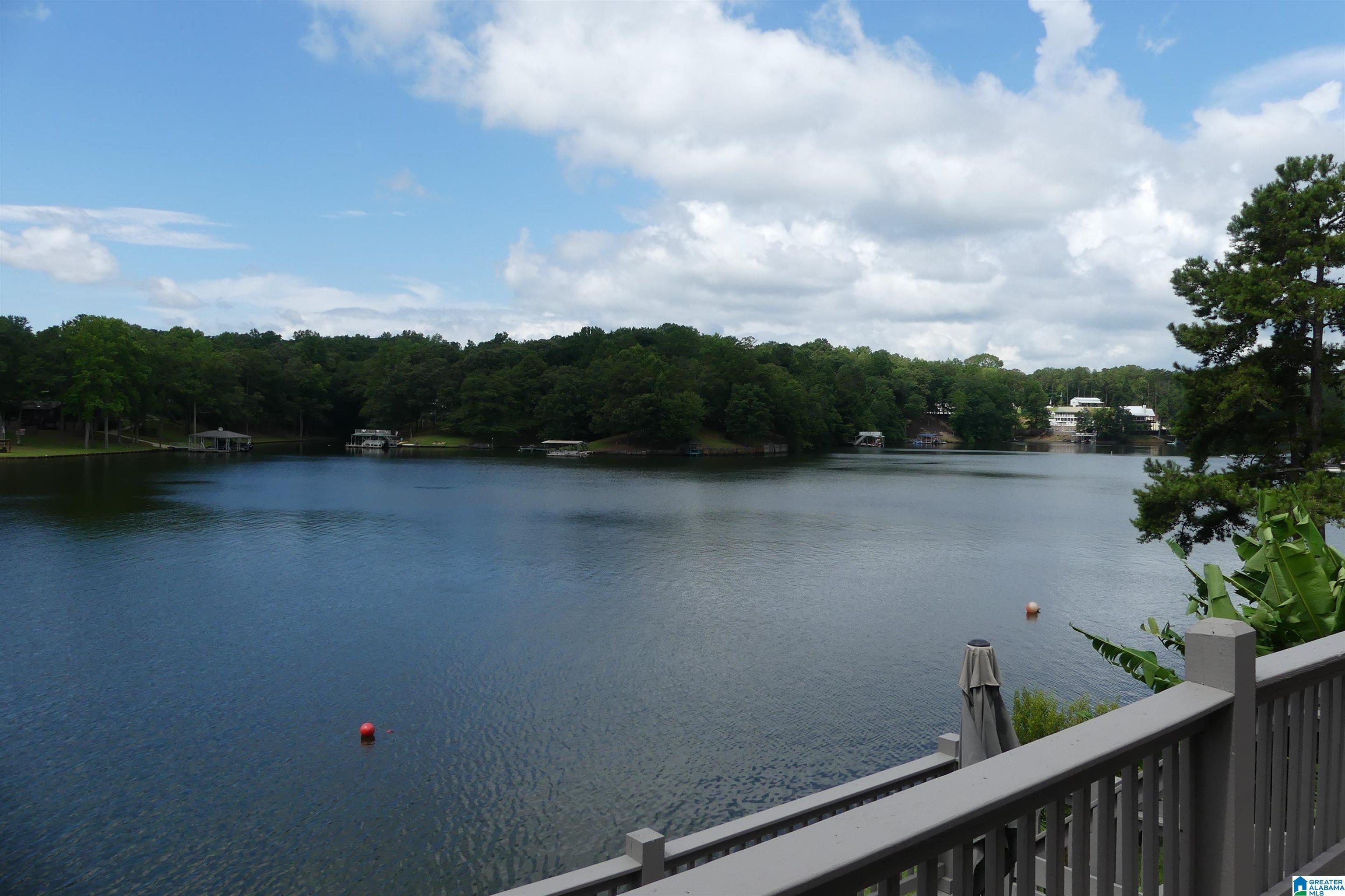 Image 1: WELCOME TO LAKE WEDOWEE