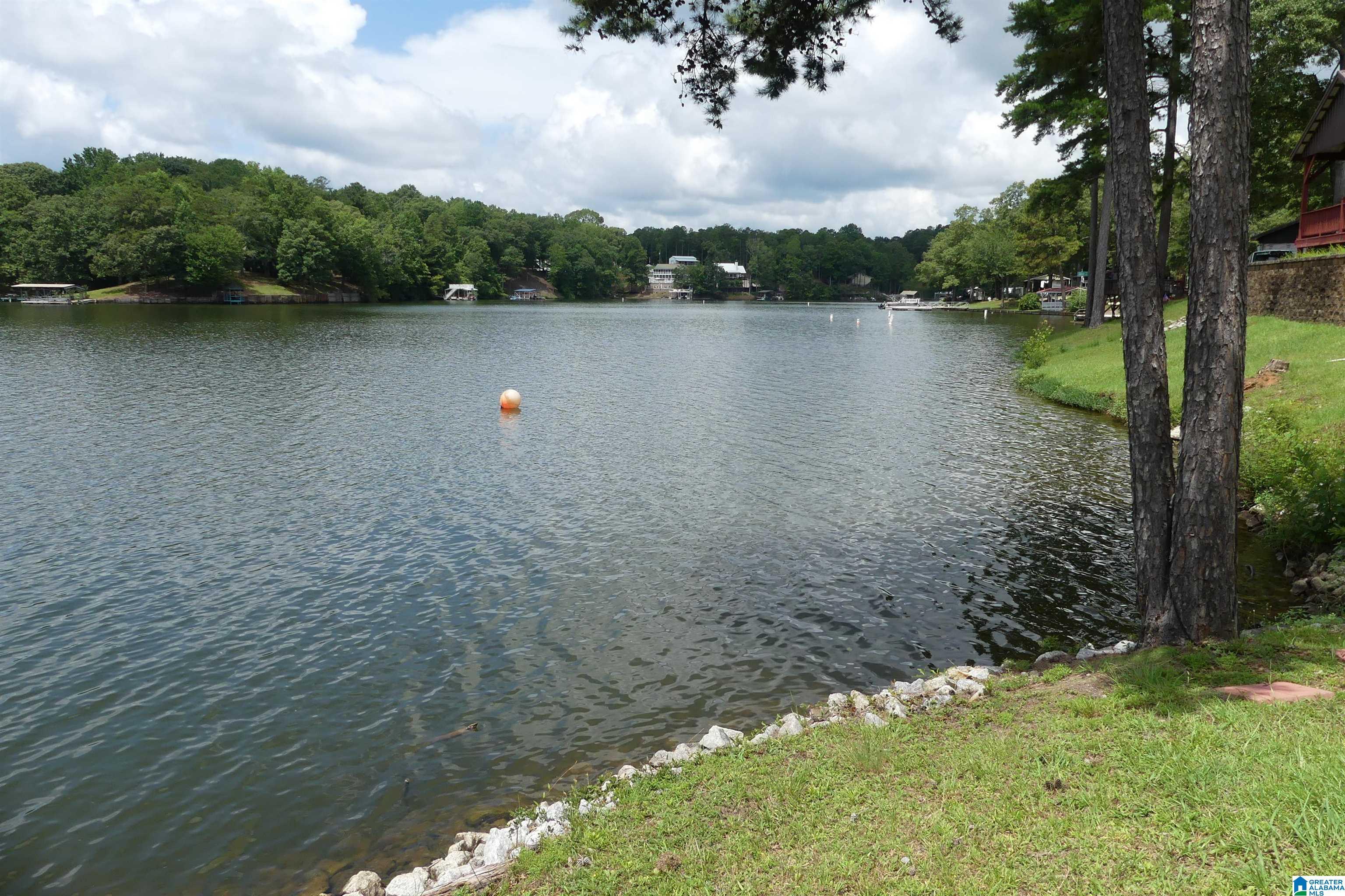Image 2: CHECK OUT ALL THAT PRETTY WATER