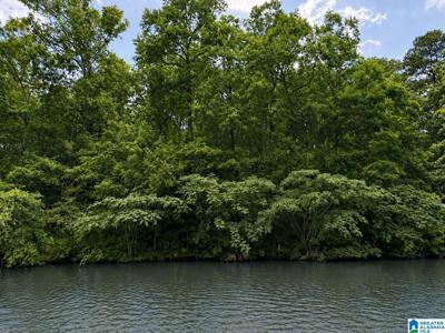 Lot 10 COUNTY ROAD 2565