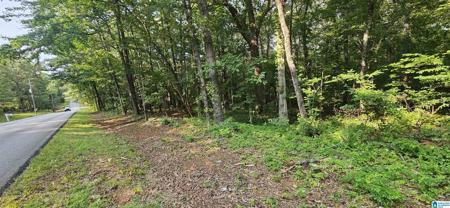 FUNDERBURG BEND ROAD