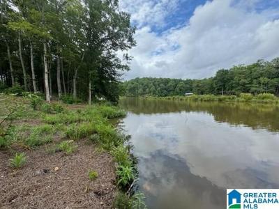 Lot 9 COUNTY ROAD 499