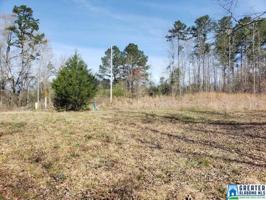 Lot 11A CHIMNEY RD