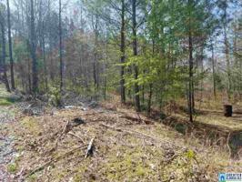Lot 21 & 22 ESTES CIR