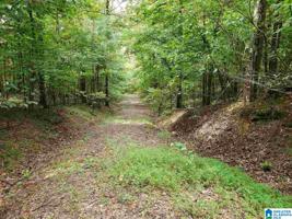 CHARNELL DRIVE