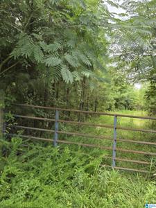 001 & 002 COUNTY ROAD 256