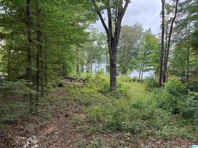 8232 CEDAR MOUNTAIN ROAD