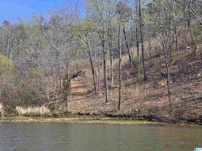 Lot 16 EAGLE POINT TRACE