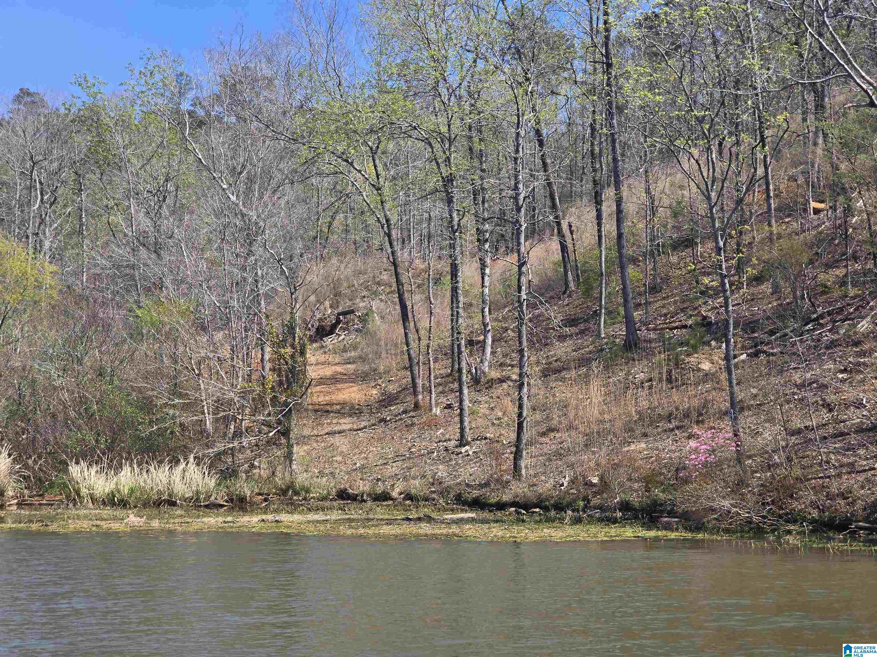 Image 1: View