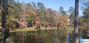 Lot 8 PRESERVE DR