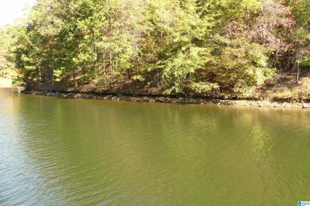 LOT 106 RIVER BIRCH ROAD