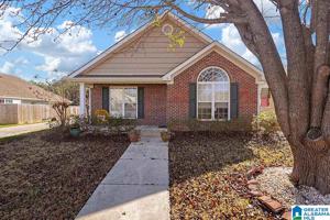 1180 VILLAGE TRL