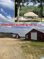 768 TODD RIDGE ROAD