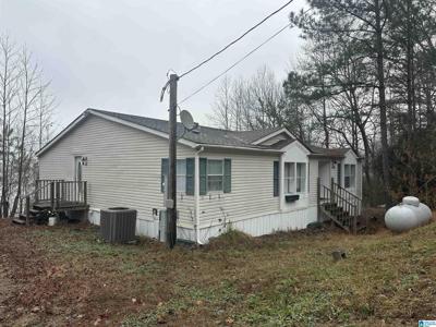 116 COUNTY ROAD 138