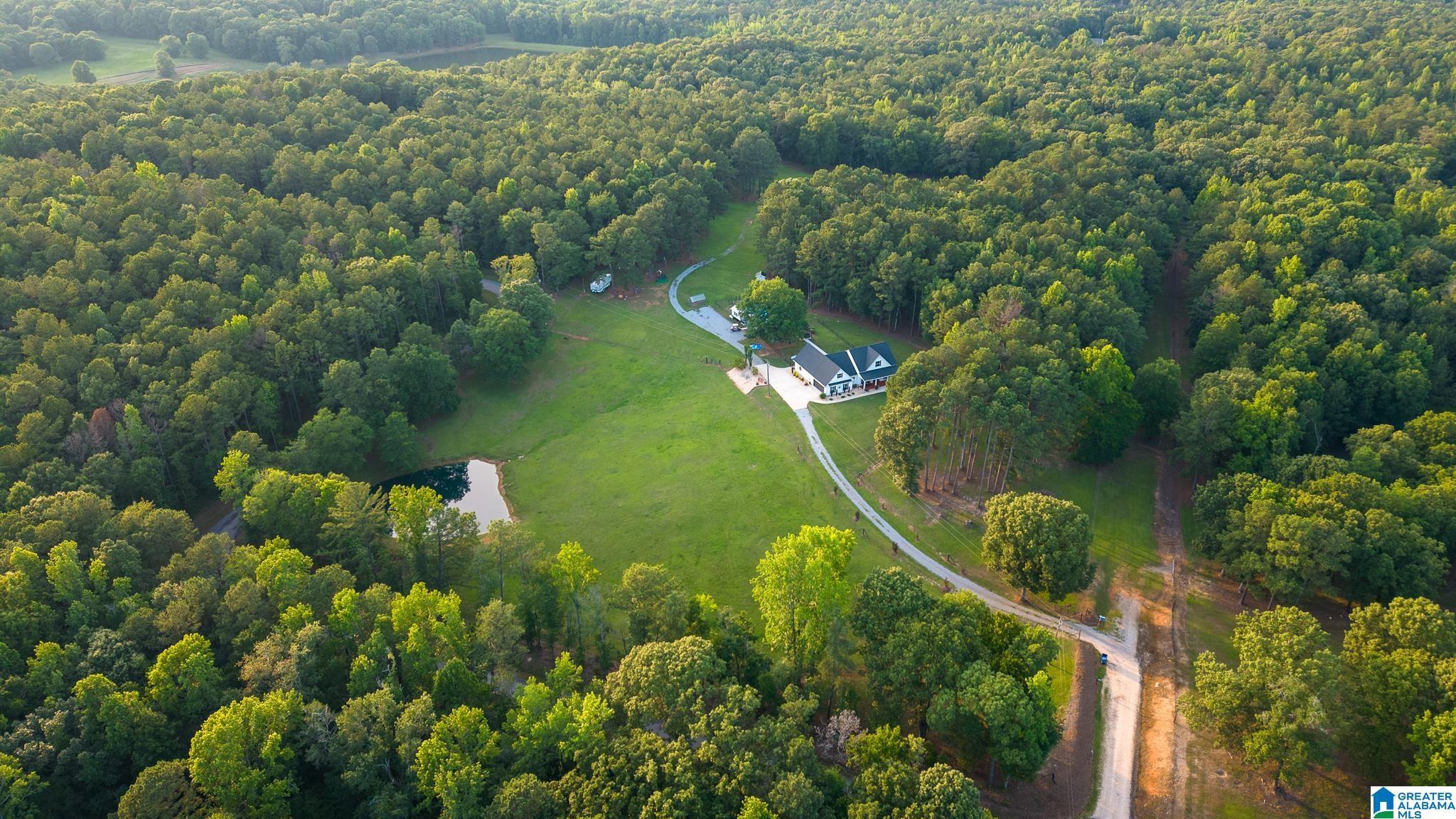 Image 4: Aerial View