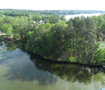 43 CREEK TRAIL