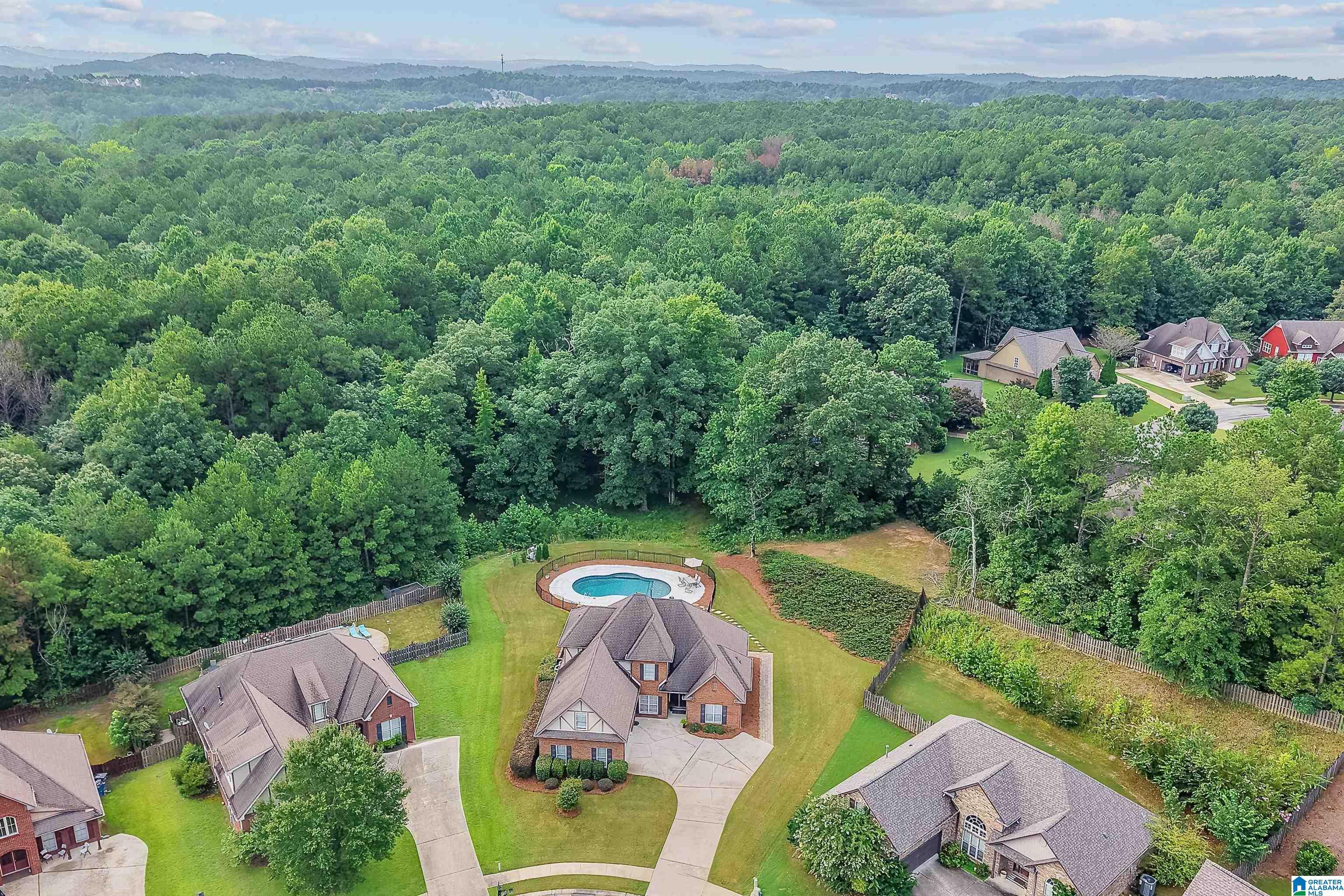 Image 3: Aerial View