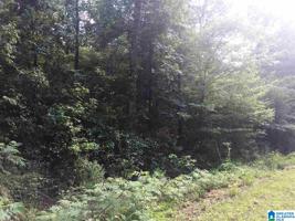 Lot 55 COLVARD DR
