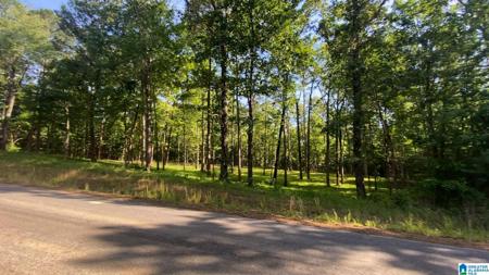 Tract 3 SAGEBRUSH ROAD