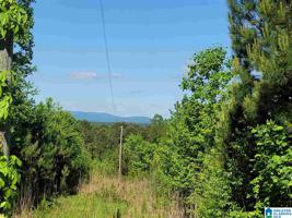 580 COUNTY ROAD 209