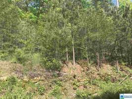 8525 W EMERALD LAKE DR