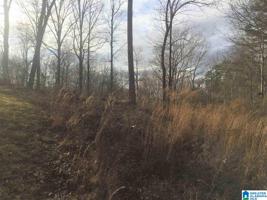 Lot 25 BLUFFS CIRCLE