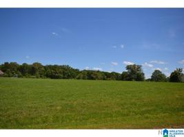 Lot 23 COUNTY ROAD 1539