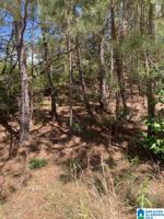 Lot 18 OLD STONE ROAD