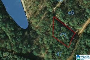 Lot 2a COUNTY ROAD 804