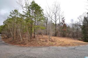 Lot 20 OAK HILLS DRIVE