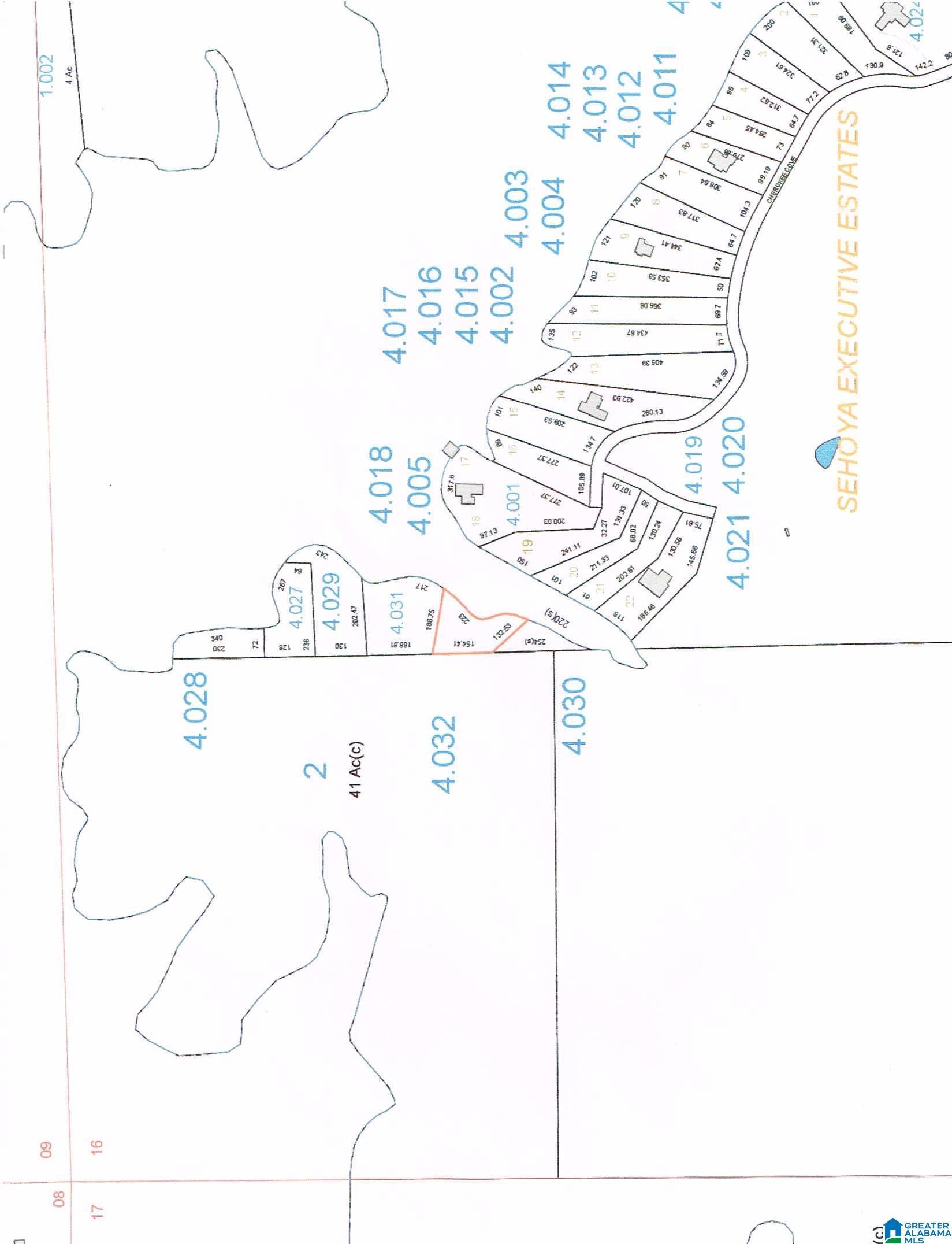 Image 1: Image 1