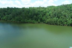 Lot 5 COUNTY ROAD 4311
