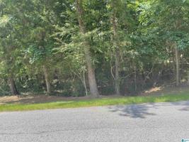 95 WOODLAND AVENUE