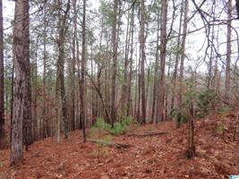 Lot 13 PRESERVE CIRCLE