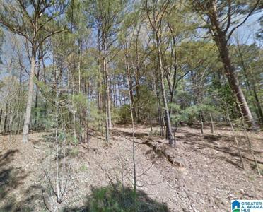 lot 8 RIVER OAKS DRIVE