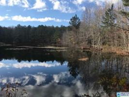 LOGAN MARTIN DAM RD