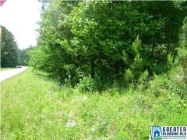 Lot 42 ACRES OLD HWY 431