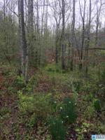 CHRISTIANA RD