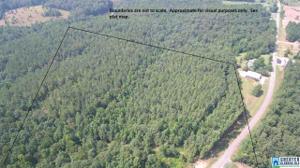 Lot 65 Acres CO RD 329