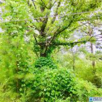 117 DOUBLE OAK RD
