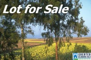 Lot 1 LAKESHORE LN