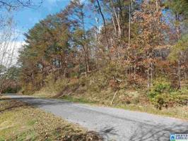 Lot 4 LAKESHORE LN