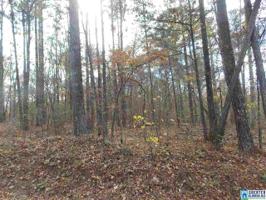 Lot 16 KENNEDY DR
