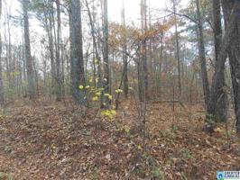 Lot 27 KENNEDY DR