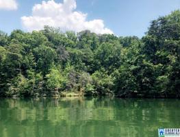 Lot 31 TOPAZ LN