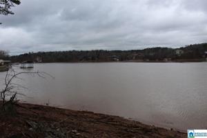 Lot 4 INTERNATIONAL HARVESTER DR