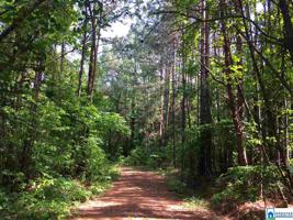 Lot 18 TURKEY BEND DR
