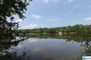 Lot 4 CO RD 499